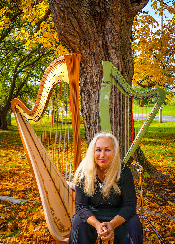 Harpist to visit Hussey-Mayfield March 14