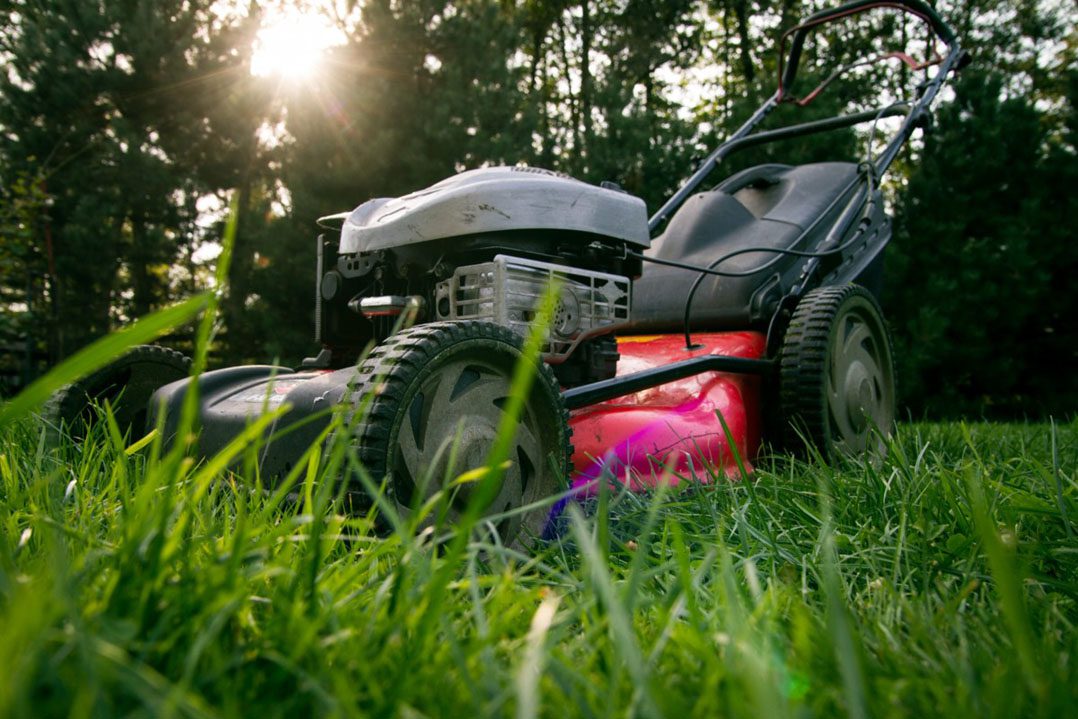 lawn mowing mower gardening garden grass work green 265014