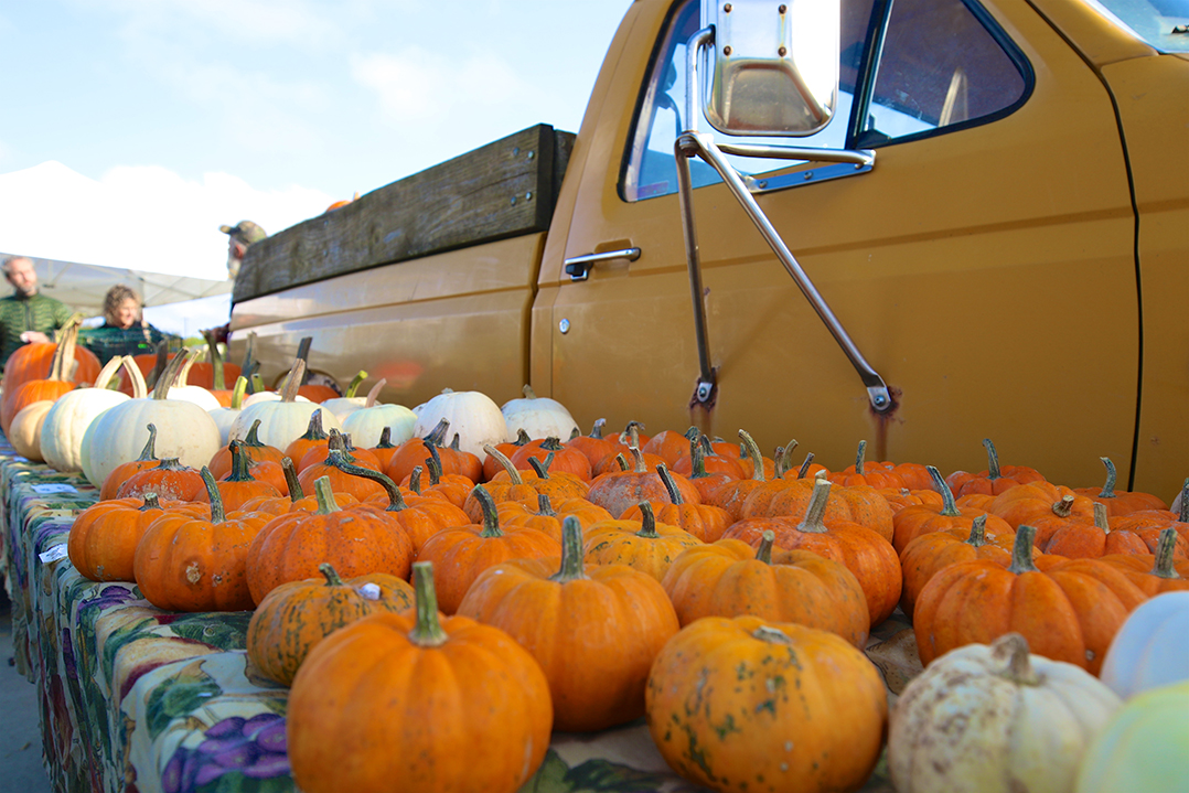 Fall festivities: Geist communities to celebrate Halloween, autumn