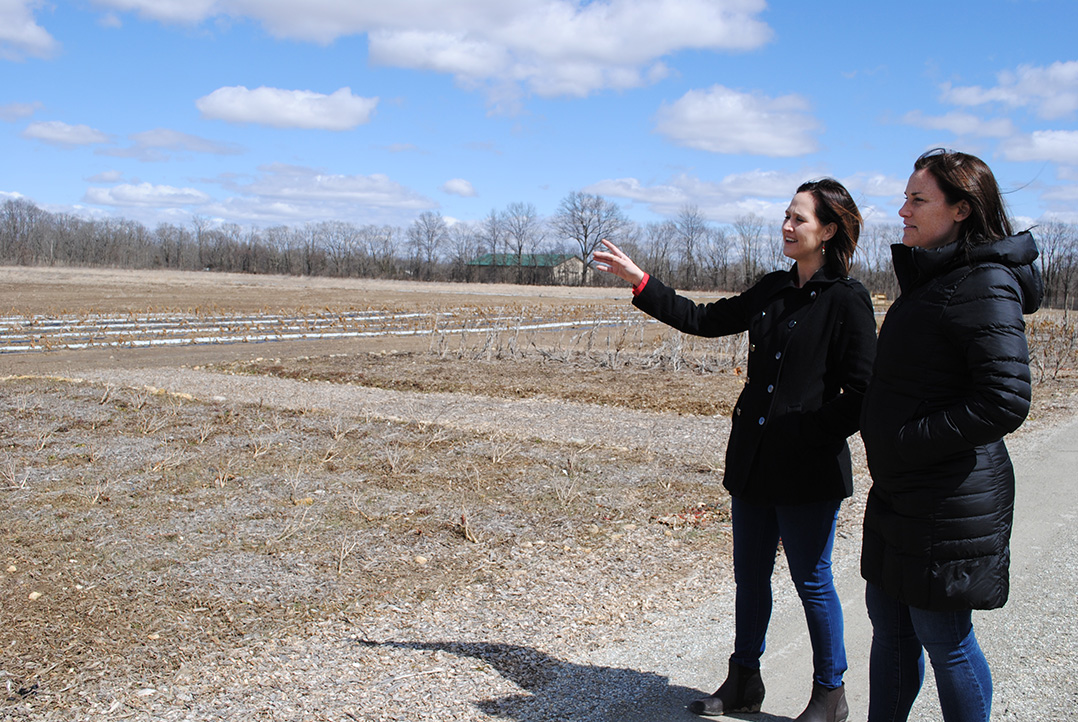 Cultivating the land: AgriPark to delay opening, feature more public offerings