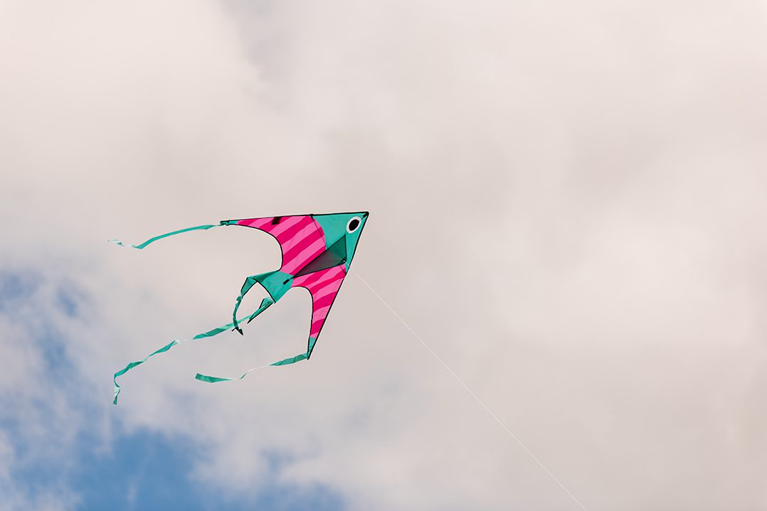 CIZ COM 0514 Kite day4