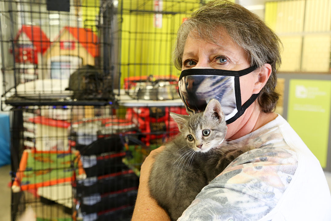 Cat people: Carmel volunteers, Petco play big role in feline rescue mission