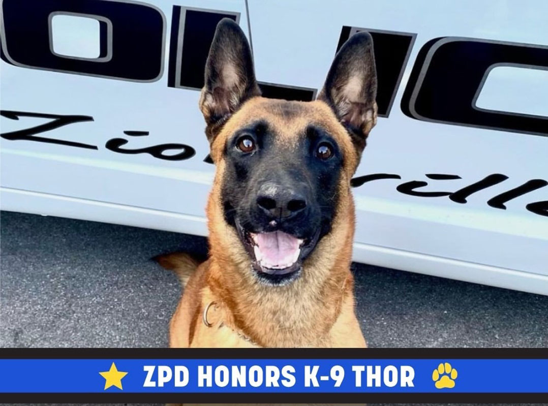 Zionsville Police Dept. mourns sudden loss of ‘ideal police dog’ Thor 