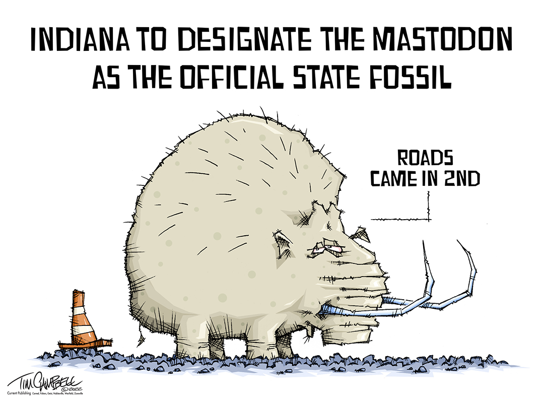 State Fossil