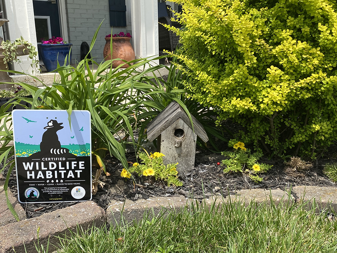 Fishers resident’s yard is a certified wildlife habitat