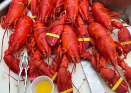 Indianapolis Opera’s Lobster Palooza features authentic lobster bake 