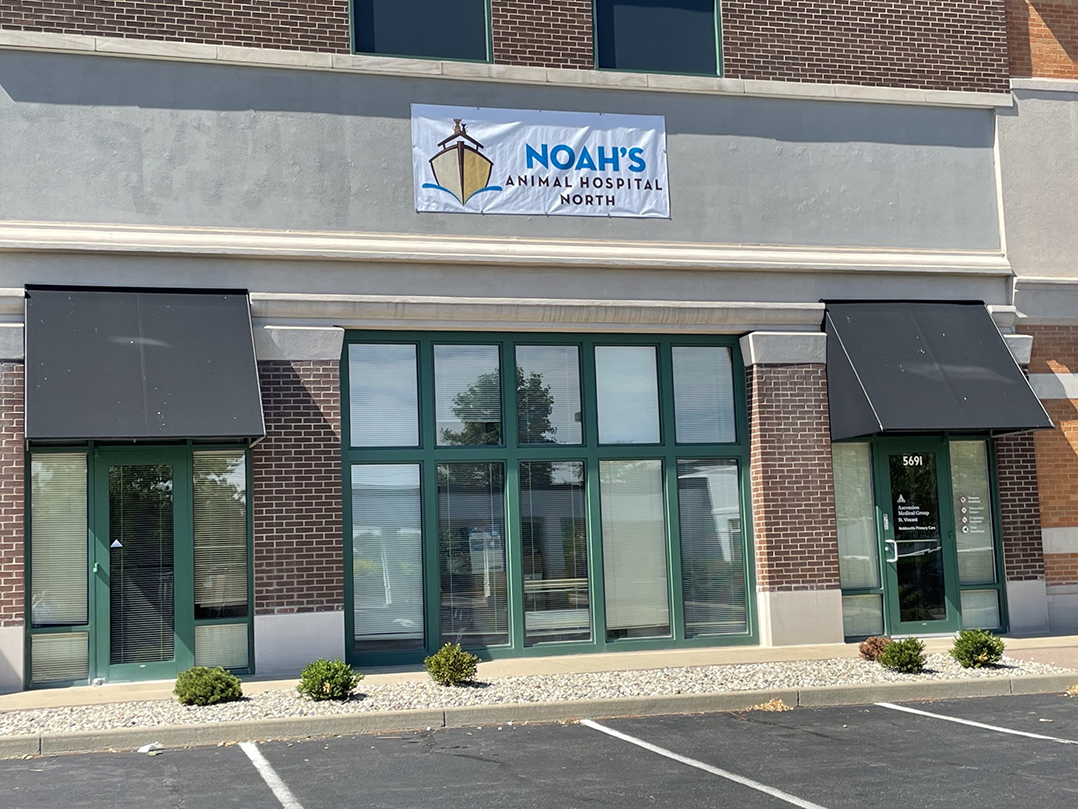 Noah's Animal Hospital Carmel moving to larger space in Noblesville •  Current Publishing