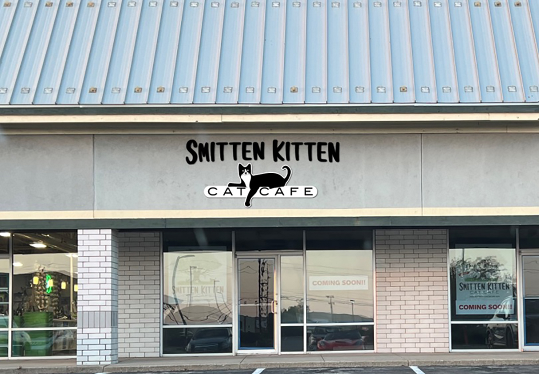 Smitten with kittens: Hamilton County’s first cat cafe set to open in Fishers