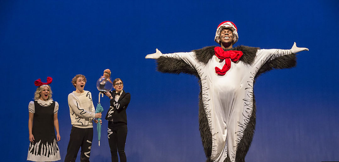 ND CAT IN THE HAT 0228 pic
